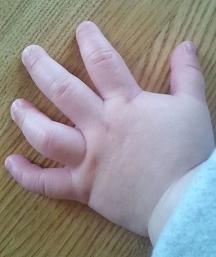 生後8ヶ月の手