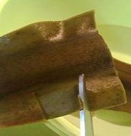 昆布に切りこみを入れる