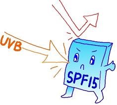 SPFの効果